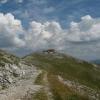 Bosna 2011